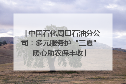 中国石化周口石油分公司：多元服务护“三夏” 暖心助农保丰收