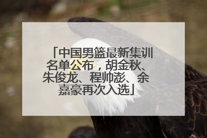 中国男篮最新集训名单公布，胡金秋、朱俊龙、程帅澎、余嘉豪再次入选