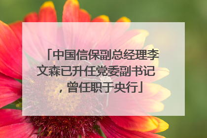 中国信保副总经理李文森已升任党委副书记，曾任职于央行