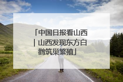 中国日报看山西｜山西发现东方白鹳筑巢繁殖
