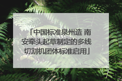 中国标准泉州造 南安牵头起草制定的多线切割机团体标准启用
