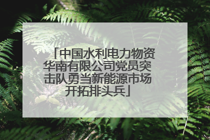 中国水利电力物资华南有限公司党员突击队勇当新能源市场开拓排头兵