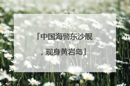 中国海警东沙舰，现身黄岩岛