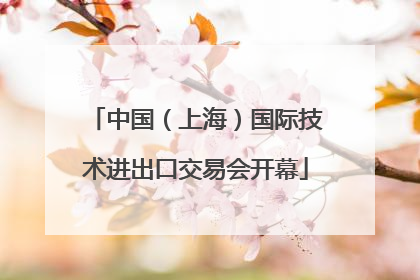 中国（上海）国际技术进出口交易会开幕
