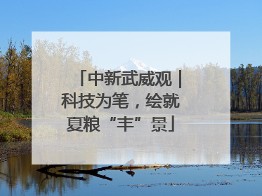 中新武威观｜科技为笔，绘就夏粮“丰”景