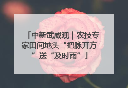 中新武威观｜农技专家田间地头“把脉开方”送“及时雨”