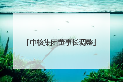 中核集团董事长调整