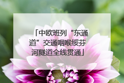 中欧班列“东通道”交通咽喉绥芬河隧道全线贯通