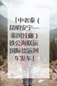 中老泰（昆明安宁—泰国拉廊）铁公海联运国际货运列车发车