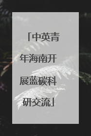 中英青年海南开展蓝碳科研交流