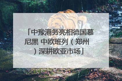 中豫港务亮相德国慕尼黑 中欧班列（郑州）深耕欧亚市场