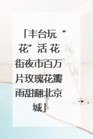 丰台玩“花”活 花街夜市百万片玫瑰花瓣雨甜翻北京城