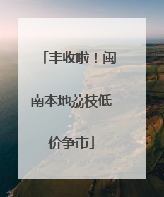 丰收啦！闽南本地荔枝低价争市