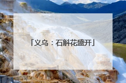 义乌：石斛花盛开
