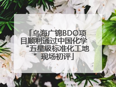 乌海广锦BDO项目顺利通过中国化学“五星级标准化工地”现场初评