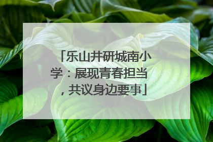 乐山井研城南小学：展现青春担当，共议身边要事