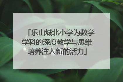 乐山城北小学为数学学科的深度教学与思维培养注入新的活力