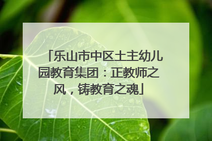 乐山市中区土主幼儿园教育集团：正教师之风，铸教育之魂