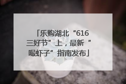乐购湖北“616三好节”上，最新“嘬虾子”指南发布