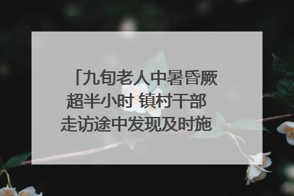 九旬老人中暑昏厥超半小时 镇村干部走访途中发现及时施救｜看见正能量