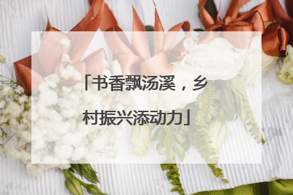 书香飘汤溪，乡村振兴添动力