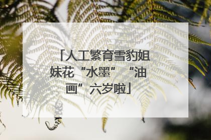 人工繁育雪豹姐妹花“水墨”“油画”六岁啦