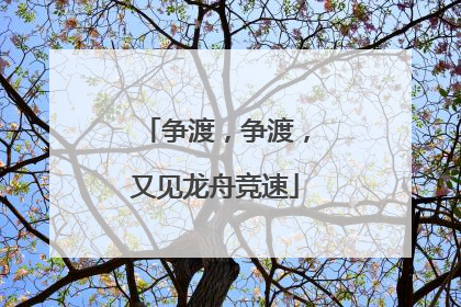 争渡，争渡，又见龙舟竞速
