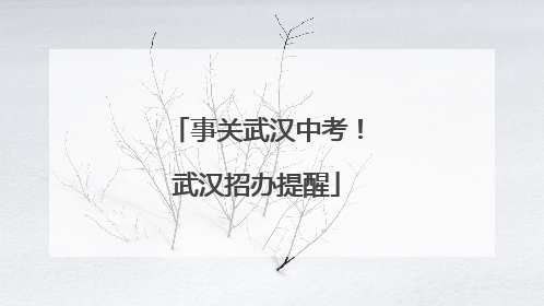 事关武汉中考！武汉招办提醒