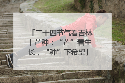 二十四节气看吉林丨芒种：“芒”着生长，“种”下希望