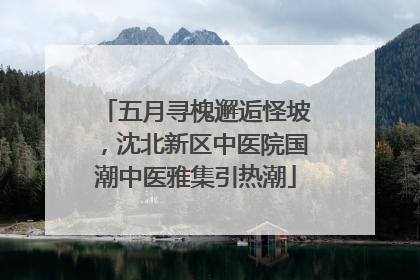 五月寻槐邂逅怪坡，沈北新区中医院国潮中医雅集引热潮