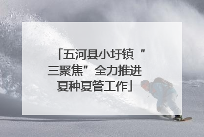 五河县小圩镇“三聚焦”全力推进夏种夏管工作