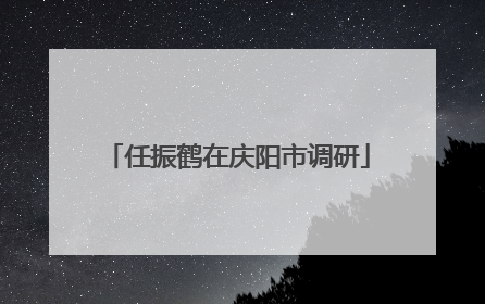 任振鹤在庆阳市调研