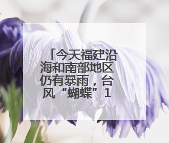 今天福建沿海和南部地区仍有暴雨，台风“蝴蝶”14日起给福建带来影响