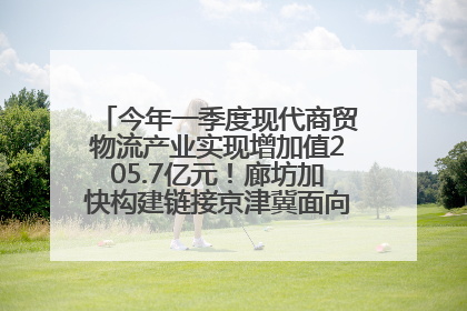 今年一季度现代商贸物流产业实现增加值205.7亿元！廊坊加快构建链接京津冀面向全世界的物流通道
