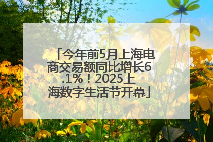今年前5月上海电商交易额同比增长6.1%！2025上海数字生活节开幕