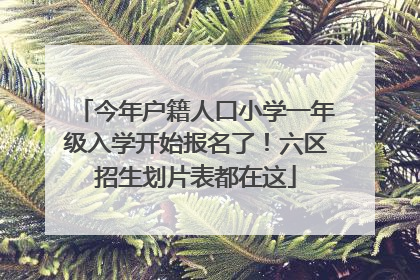 今年户籍人口小学一年级入学开始报名了！六区招生划片表都在这