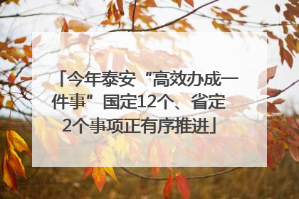 今年泰安“高效办成一件事”国定12个、省定2个事项正有序推进