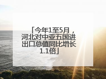 今年1至5月，河北对中亚五国进出口总值同比增长1.1倍
