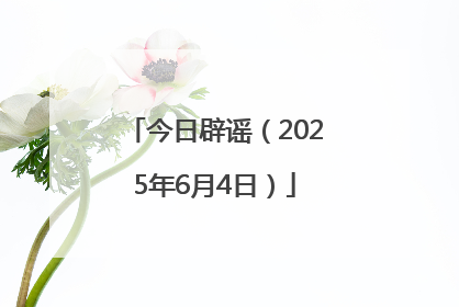 今日辟谣（2025年6月4日）