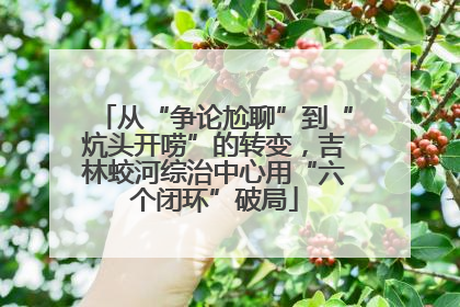 从“争论尬聊”到“炕头开唠”的转变，吉林蛟河综治中心用“六个闭环”破局