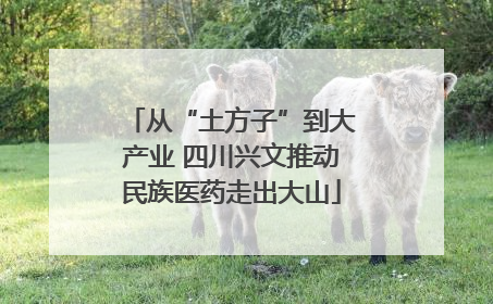 从“土方子”到大产业 四川兴文推动民族医药走出大山