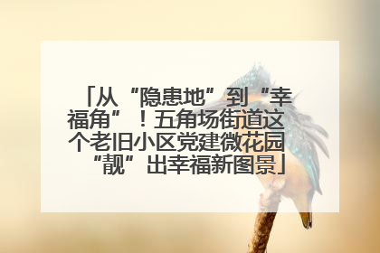 从“隐患地”到“幸福角”！五角场街道这个老旧小区党建微花园“靓”出幸福新图景