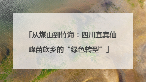 从煤山到竹海：四川宜宾仙峰苗族乡的“绿色转型”
