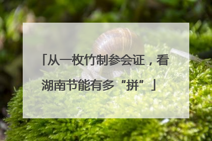 从一枚竹制参会证，看湖南节能有多“拼”
