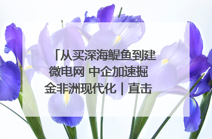 从买深海鳀鱼到建微电网 中企加速掘金非洲现代化｜直击中非经贸博览会