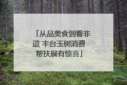 从品美食到看非遗 丰台玉树消费帮扶展有惊喜