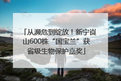 从濒危到绽放！新宁崀山600株“国宝兰”获省级生物保护嘉奖
