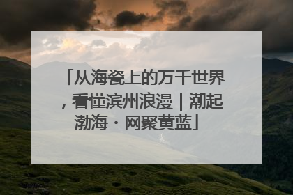 从海瓷上的万千世界，看懂滨州浪漫｜潮起渤海・网聚黄蓝
