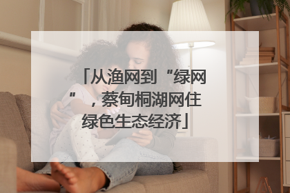 从渔网到“绿网”，蔡甸桐湖网住绿色生态经济