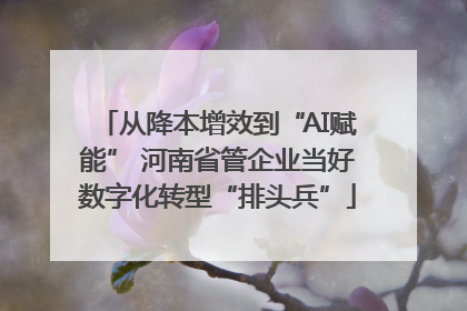 从降本增效到“AI赋能” 河南省管企业当好数字化转型“排头兵”
